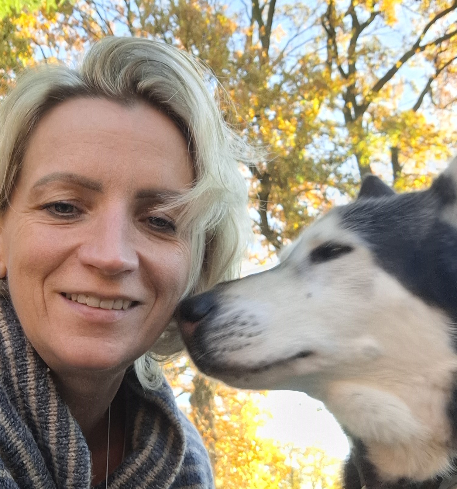 Yvonne – Nordstern