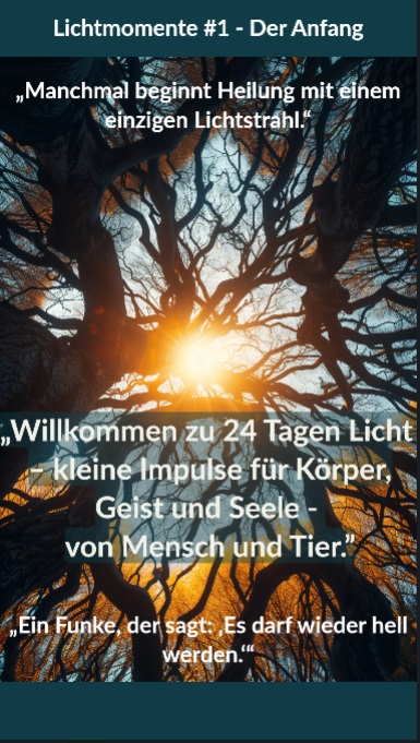 Vorschaubild Lichtmoment 1