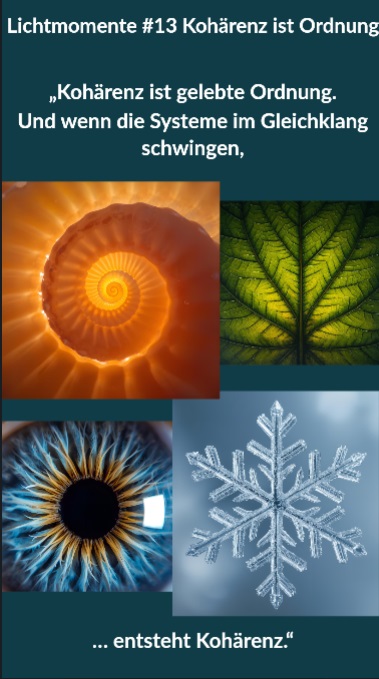 Vorschaubild Lichtmoment 13