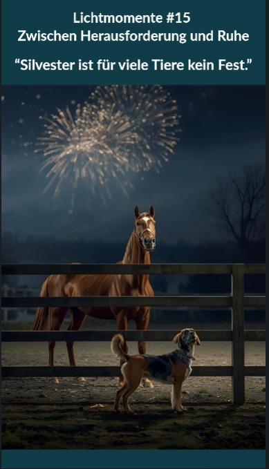 Vorschaubild Lichtmoment 15