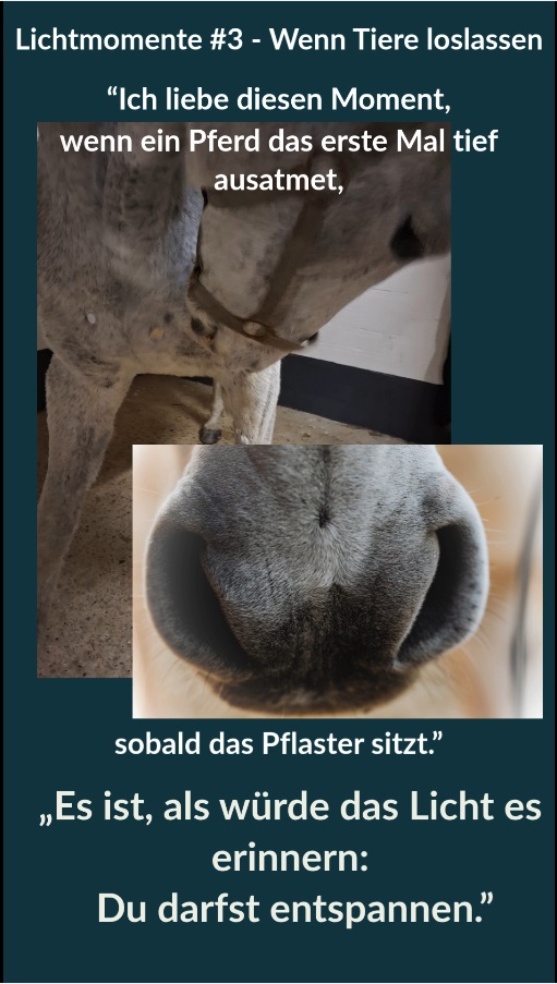 Vorschaubild Lichtmoment 3