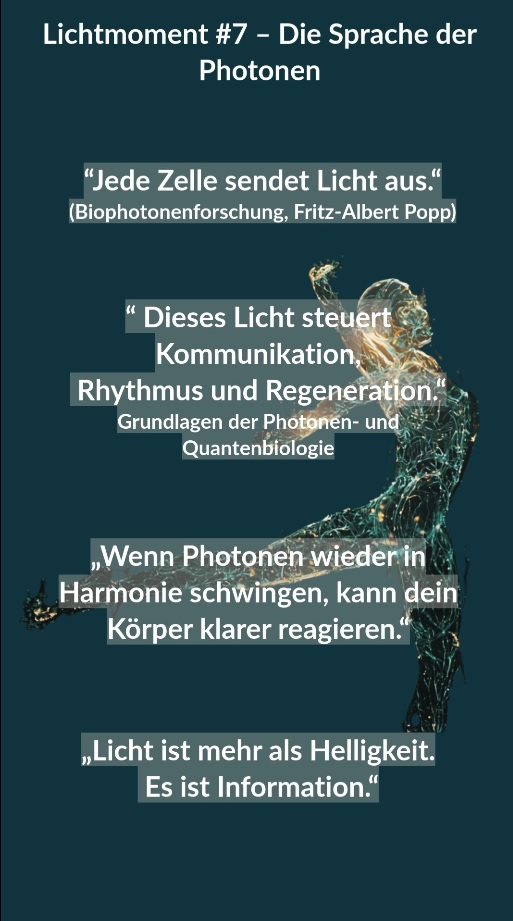 Vorschaubild Lichtmoment 7