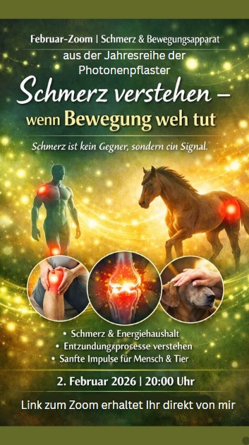 Thumbnail: Februar-Zoom – Schmerz verstehen, wenn Bewegung weh tut
